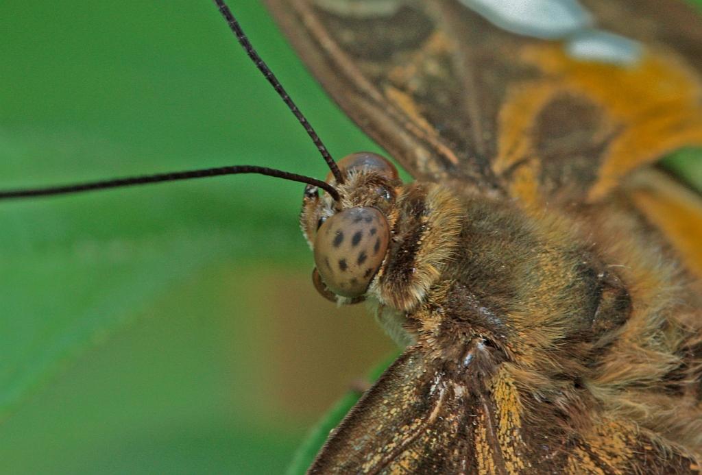 IMG_1536.JPG - Et là.