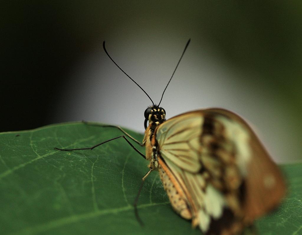 IMG_1629.JPG - La cloche de lumière.