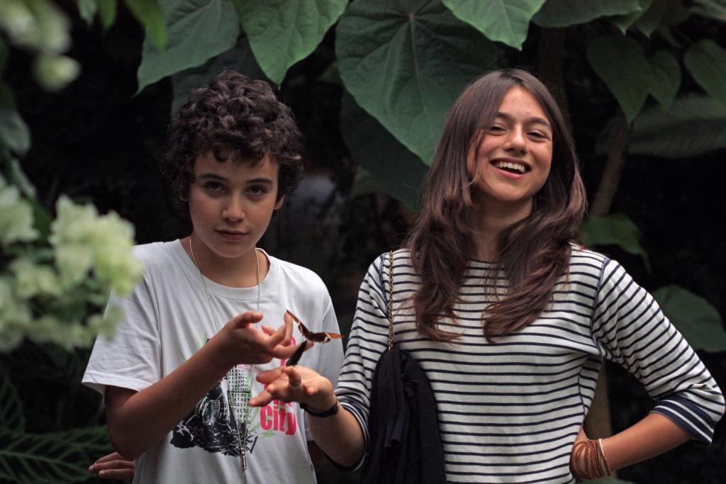 IMG_1748.JPG - Perdus au milieu des papillons.