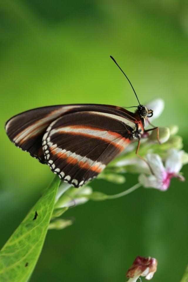 IMG_1815.JPG - Vous me reconnaissez