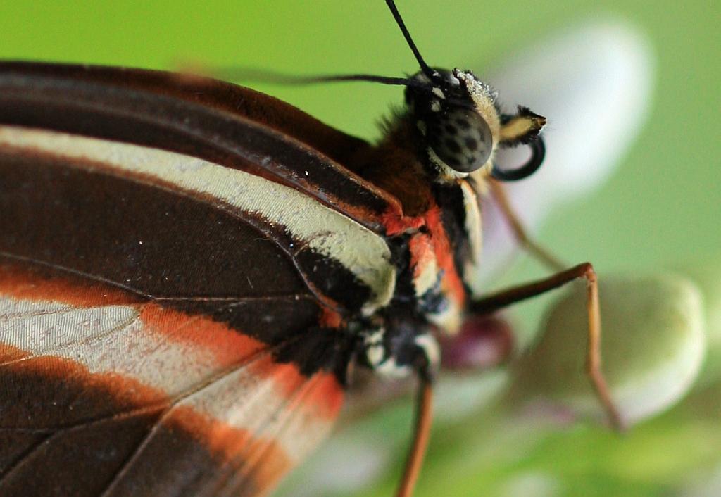 IMG_1817.JPG - Tantpis