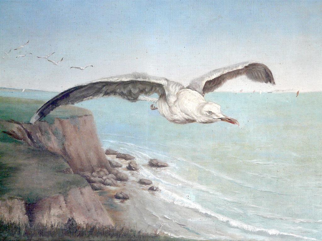 P1080417.JPG - Une mouette , quelle est gentille ma maitresse.