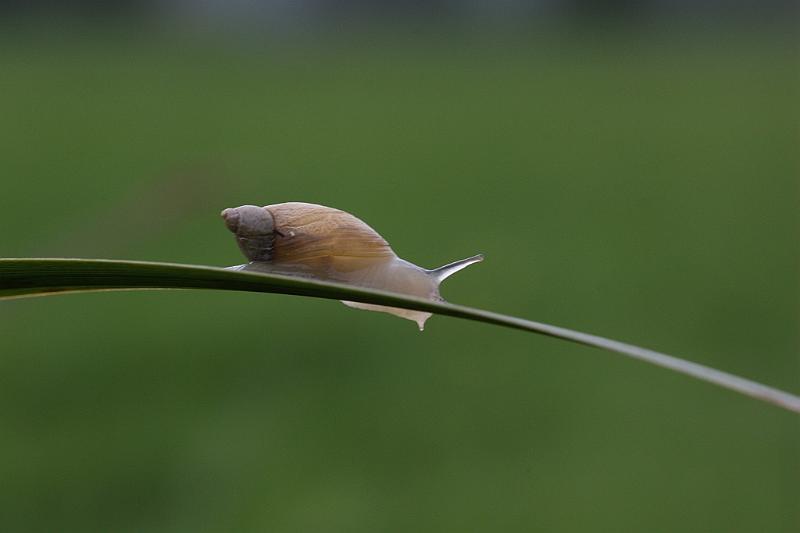 IMG_1302.JPG - J'en suis malade.