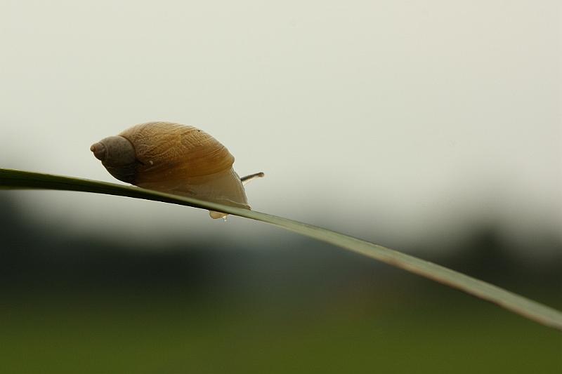 IMG_1304.JPG - Allez sans rancune , sauf Canon , bien sur. Number 9, Number 9, Number 9 , Number 9, ..... OB LA Di.....