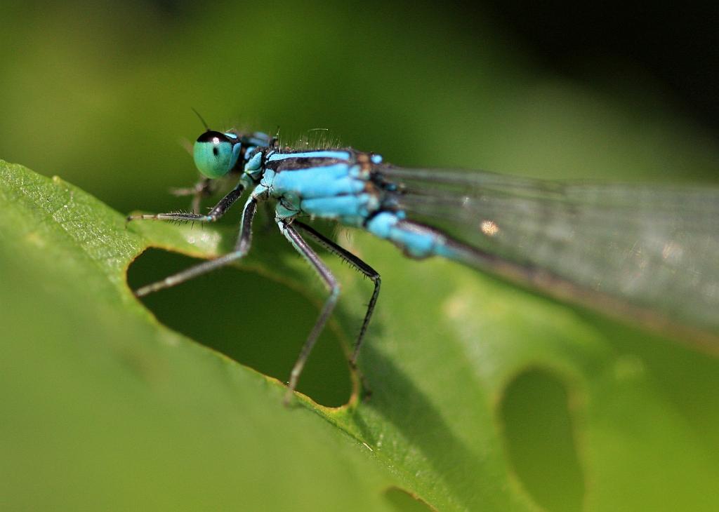 IMG_1076.JPG - La prochaine fois, je serai plus sympa avec le photographe.