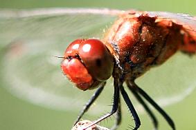 IMG_2771.JPG - Au-revoir.