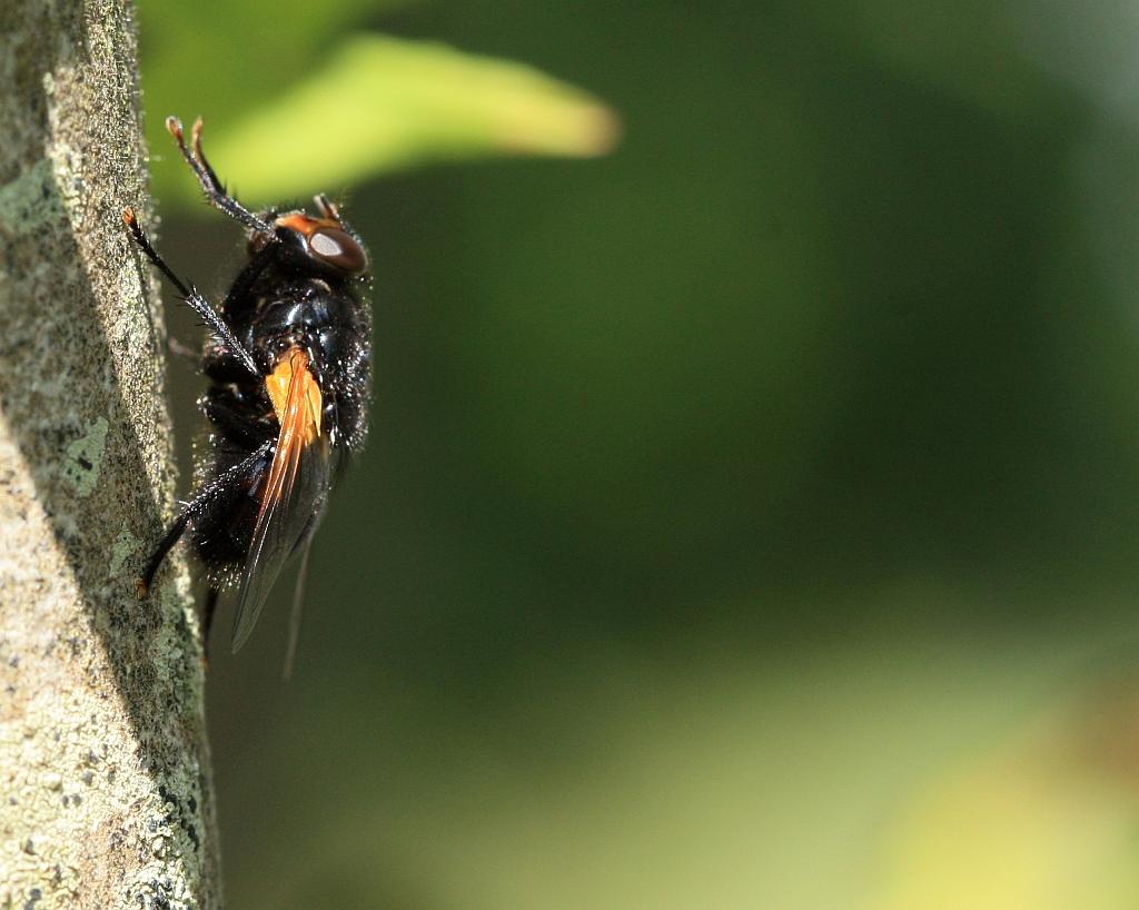 IMG_2438.JPG - Bon tu me laches le photographe.