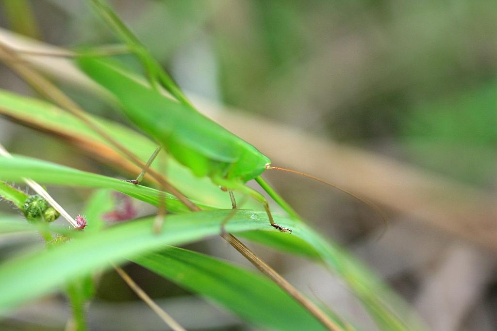 IMG_2237.JPG - Allez je me tire