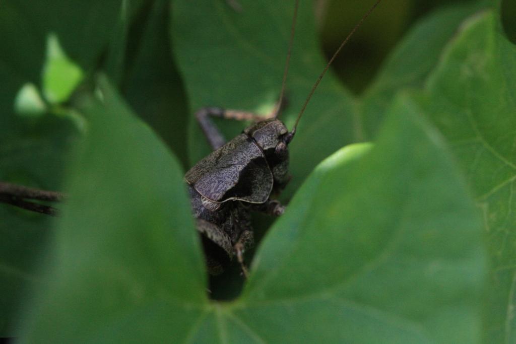 IMG_3508.JPG - Pourtant, j'avais l'air sympa.