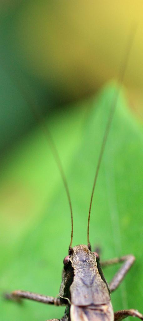 IMG_3932.JPG - J'arrive et monte sur votre écran