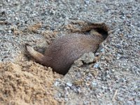 IMG 2544  C&#39;est quoi?