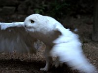 IMG 2561  c&#39;est par là !