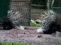 IMG 2570  courent partout