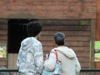 IMG 2583  les visiteursregardent la basse cour