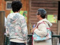 IMG 2585  les chèvres