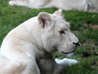 IMG 2607  t&#39;a pas compris ?