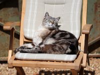 IMG 2366  dans le soleil