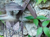 P1150432  s&#39;envole vers son destin