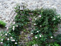 P1150433  la lanterne nourrit les petis oiseaux