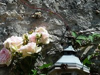 P1150449  J&#39;aime les fleurs et les jardiniers. Les fleurs évoquent l&#39;amour, et les jardiniers, je l&#39;ai souvent remarqué, ont les plus beaux enfants du monde.