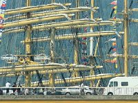 IMG 9064  Les voilà !