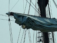 IMG 9119  Les beaux mâts