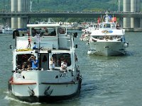 IMG 9257  Ville de Melun, l&#39;Oiseau des 7 Iles.