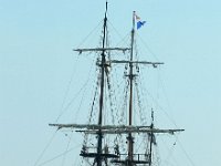 IMG 9152  L&#39;étoile du Roy joue les stars.