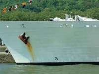 IMG 9210  Attention surdoué.