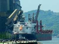 IMG 9170  Les robots