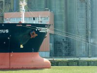 IMG 9198  Etait pas invité