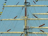 IMG 9246  Les beaux mâts