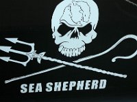 IMG 9344  Le protecteur des baleines