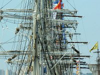 IMG 9311  Garde à vous