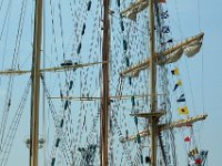 IMG 9331  l&#39;alignement