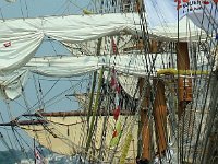 IMG 9363  les voiles