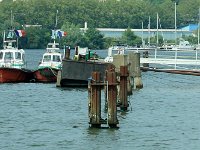 IMG 9372  les nouveaux