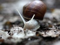 IMG 2421  Il progresse.