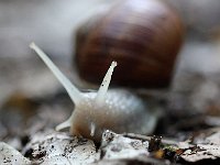 IMG 2422  Jette un oeil au loin.