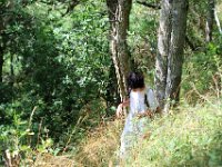 IMG 2431  et gravissons ce charmant chemin