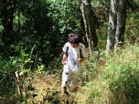 IMG 2432  qui serpente