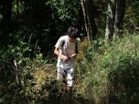 IMG 2433  agréablement dans le sous-bois