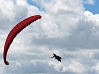 IMG 2480  ils entament les vrilles