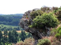 IMG 2526  la vallée