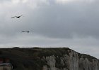 IMG 1567  les falaises vers Etretat