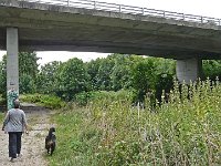 P1150642  s&#39;éléve un bruit