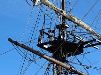 IMG 3008  Celui là ne court pas cette année.