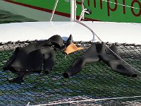 IMG 3024  La tenue est exigée.