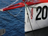 IMG 3109  3 novembre, 13h02 : départ de la 11ème Transat Jacques Vabre