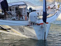 IMG 3138  Celui là à gagner